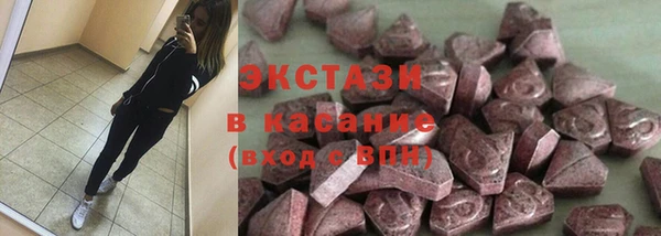 индика Беломорск