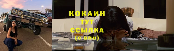 индика Беломорск