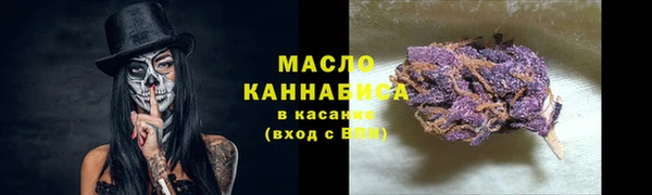 индика Беломорск