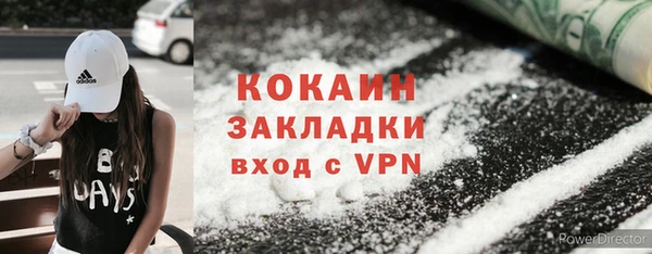 индика Беломорск