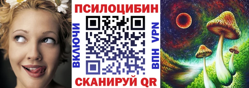 купить блэк спрут зеркало нарко площадка клад Гремячинск Псилоцибиновые грибы Psilocybine cubensis